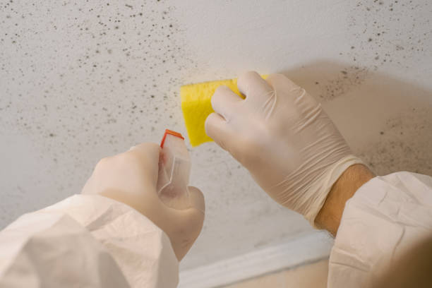 Mold Remediation for Rental Properties in Grundy Center, IA